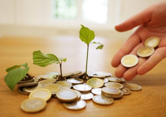 Инвестиции для начинающих: с чего начать и как не потерять деньги